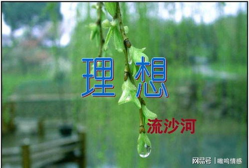 错过的人挽回的句子,相遇错过，再错过，你确定不后悔？