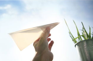 成真挽回靠谱吗,挽回爱情是否真的有效？