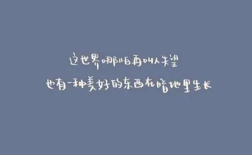 挽回前夫句子短句文案,挽回前夫，重新爱情，美满重生。