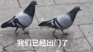 放鸽子了怎么挽回,如何挽回放鸽子的感情