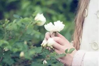 挽回爱情的灵性音乐,感性音乐唤回失去的爱