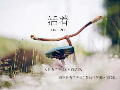 没有继续挽回的勇气