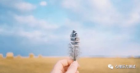 梦见挽回所有损失,重获失去的一切——梦见挽回所有损失