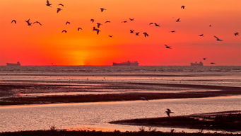 秦皇岛情感挽回哪里有,如何在秦皇岛找到情感挽回帮助