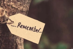 挽回的创意点,挽回爱情，改变命运