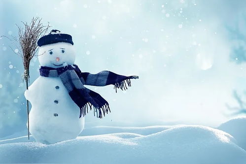 挽回金牛男白羊,如何挽回金牛男和白羊女？