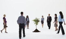 成长是挽回婚姻基础,成长关系婚姻，情感长久