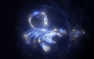 挽回天蝎男招,如何挽回天蝎男？