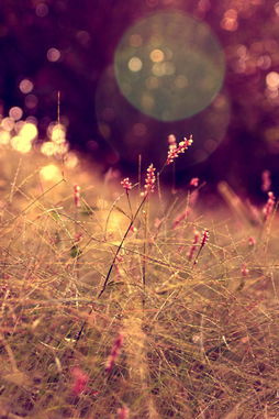 欺骗双鱼男想挽回,如何挽回双鱼男心？)