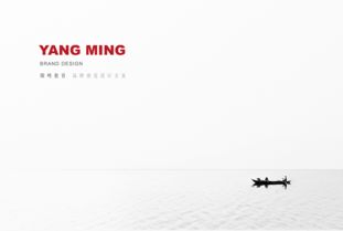 开始挽回形象的文案,挽回形象计划：重建信任