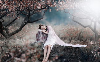 小渔挽回上官,小渔用爱打动上官，重新点燃初心