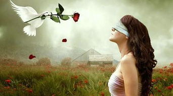 挽回爱情斩断桃花,挽回爱情，消弭桃花纷扰