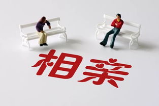 怎样挽回滑档志愿,如何改变滑落志愿？