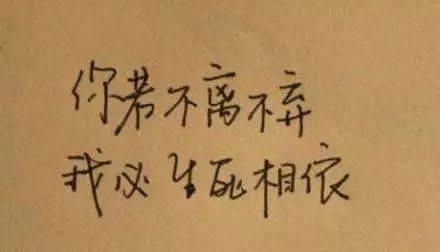 比喻不可挽回的句子，无法弥补的过错