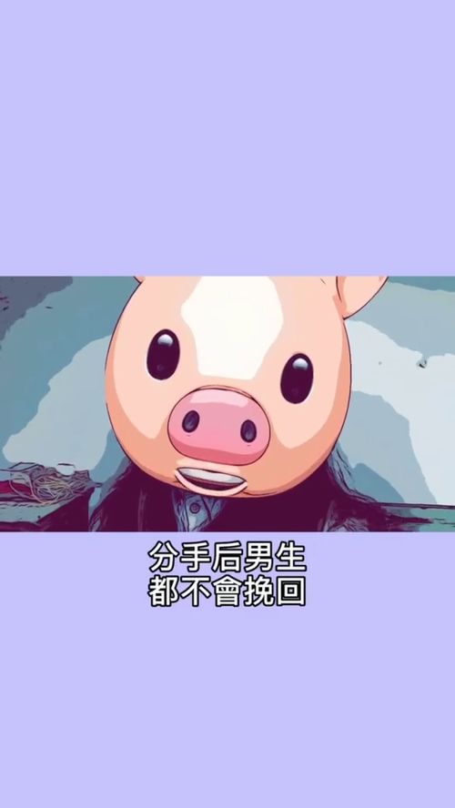 挽回不爱你的狮子,如何挽回狮子座分手的对象