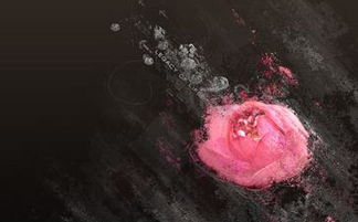 挽回魔羯男的禁忌,挽回魔羯男的关键要点