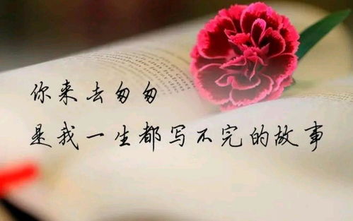 挽回爱的人的诗,如何挽回挚爱