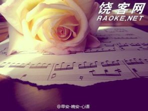 多次挽回前任的感情,多次挽回前任，真爱难舍