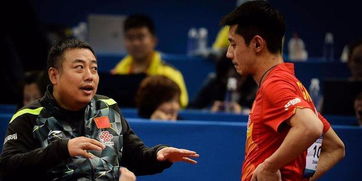 景甜挽回张继科,景甜成功挽回张继科