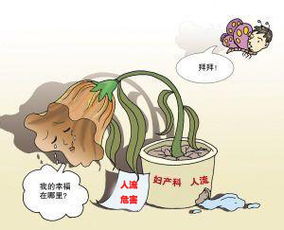 别人怎么劝说挽回男,怎么劝说挽回男友？建议分享。