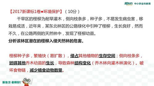 学生挽回老师的心态,学生用真心赢回老师偏爱