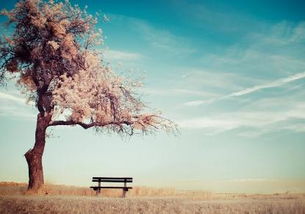 和双鱼分手怎么挽回,双鱼座分手后如何挽回？