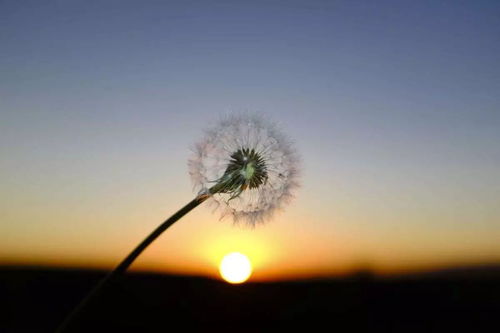 没法挽回什么事,无法挽回的局面