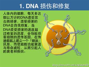 要吃多了咋挽回,饱食误事怎么办？40字以内。