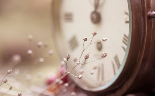 怎么挽回是正确的,如何正确挽回失去的爱情？