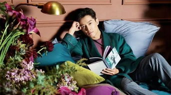 胡歌多次挽回薛佳凝,胡歌多次努力挽回薛佳凝，终获成功