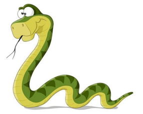 怎么挽回属蛇男,属蛇男如何挽回，有效方法提供