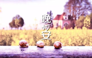 慈父挽回亲情全集,温暖亲情：慈父挽回全集