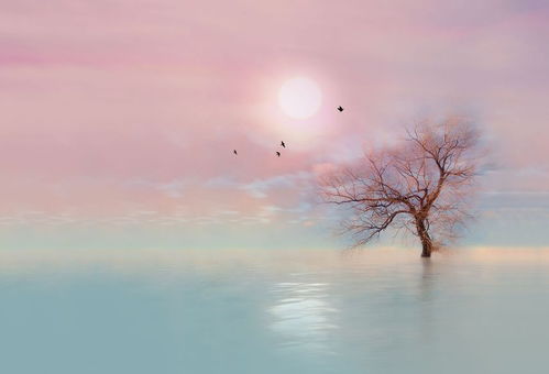 墨染锦年挽回,重拾年华，挽回爱情