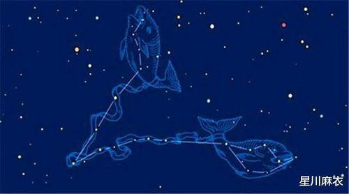 如何挽回月亮射手,月亮射手如何收复失落的心？