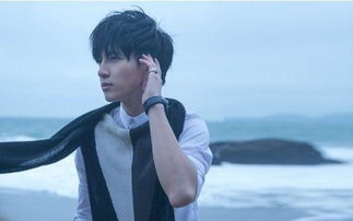 薛之谦人设挽回,重塑薛之谦的形象