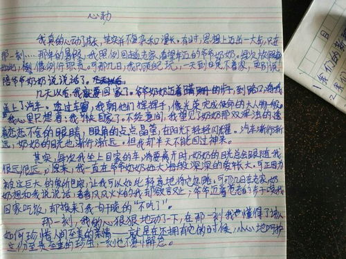 怎挽回男朋友小作文，亲手制作为男友心仪的山珍海味，赢回他的心