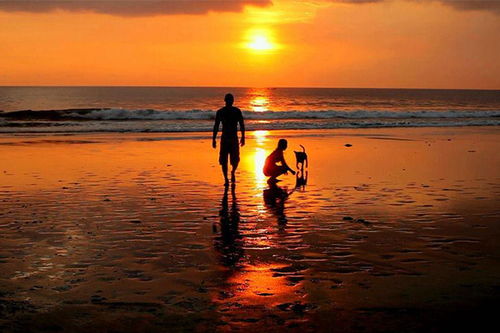 怎么挽回女朋友作文,如何挽回女友？