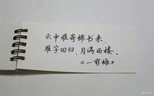 形象挽回不了的诗句,诗意难挽的失意：重拾爱情的三个法则