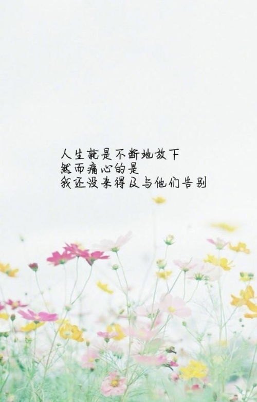 真诚地挽回句子,如何真诚挽回TA？