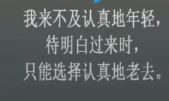 喝醉了挽回文案,喝醉后极力挽回，新标题：借酒消愁的情感故事