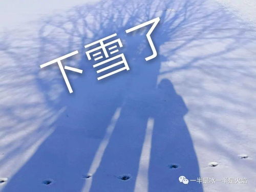 见光死了咋挽回,如何在光线中挽回生命？