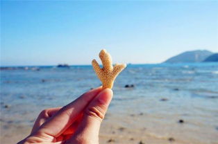 挽回爱情文案夏天简短,爱如夏日，挽回暖心计划