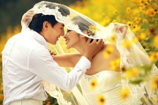 吵架后他不挽回,失去挽回的爱情