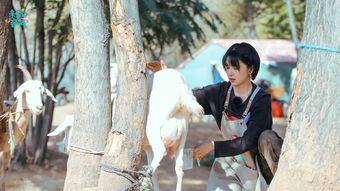 村姑为什么挽回前任,乡村女子如何挽回前任？