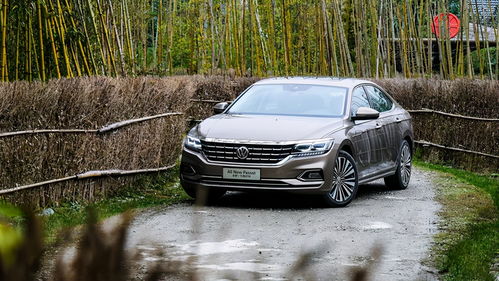 帕萨特能挽回吗,帕萨特还有救吗？)