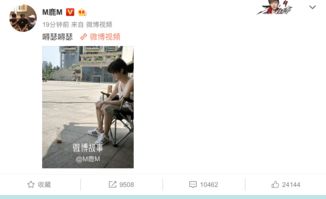 董和平分手挽回,董和平分手挽回失败，意外转型做起了网红