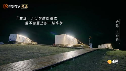 广州维爱挽回情感,广州情感挽回公司维爱