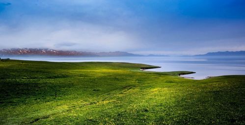 情感挽回公司有那些,如何成功挽回恋人？