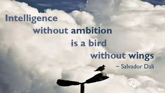 挽回对象然后弄死他,挽回失败，致命反击！