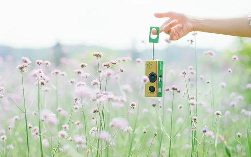 心态决定挽回成功的话,挽回感情取决于心态